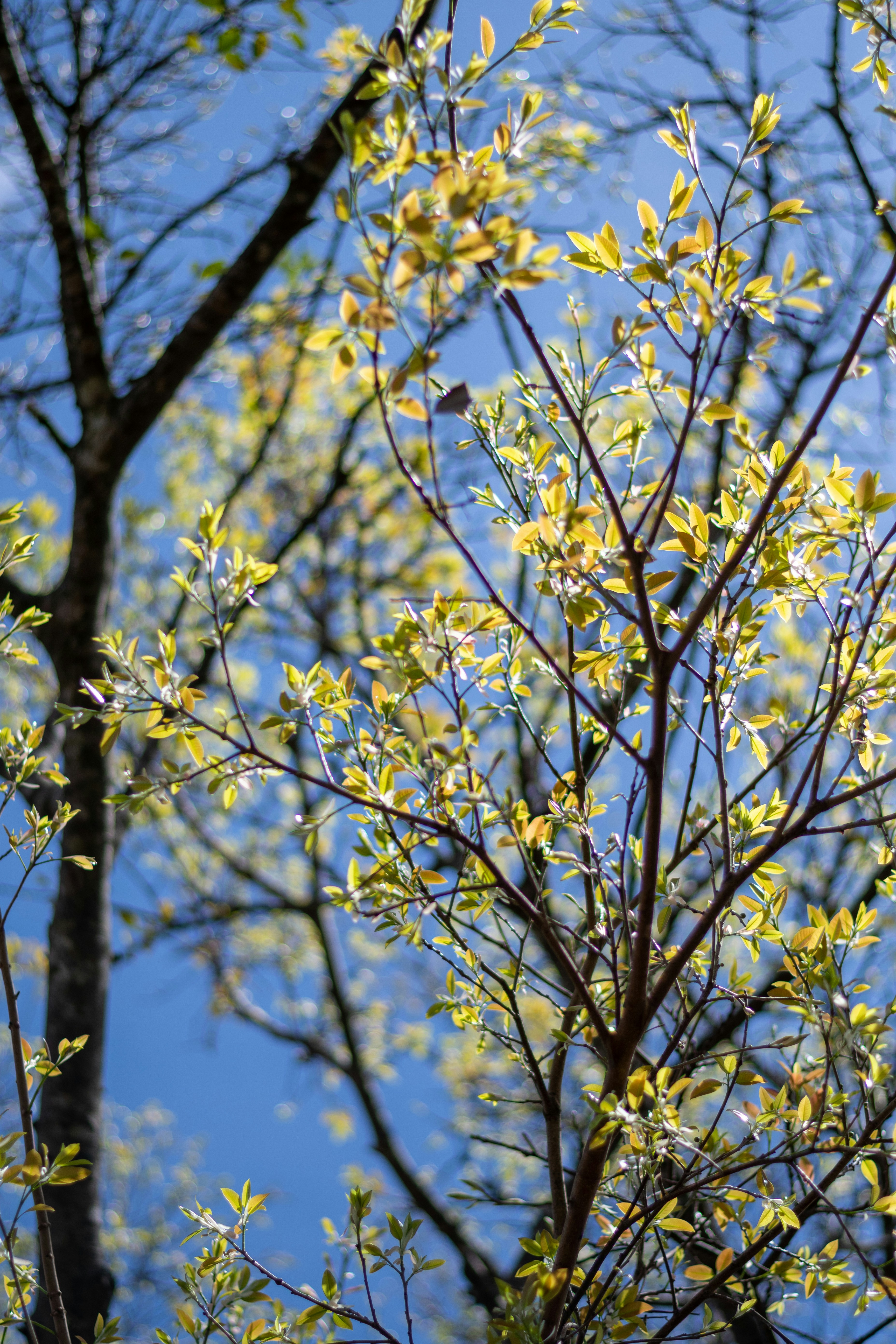 Photo by glennvillas