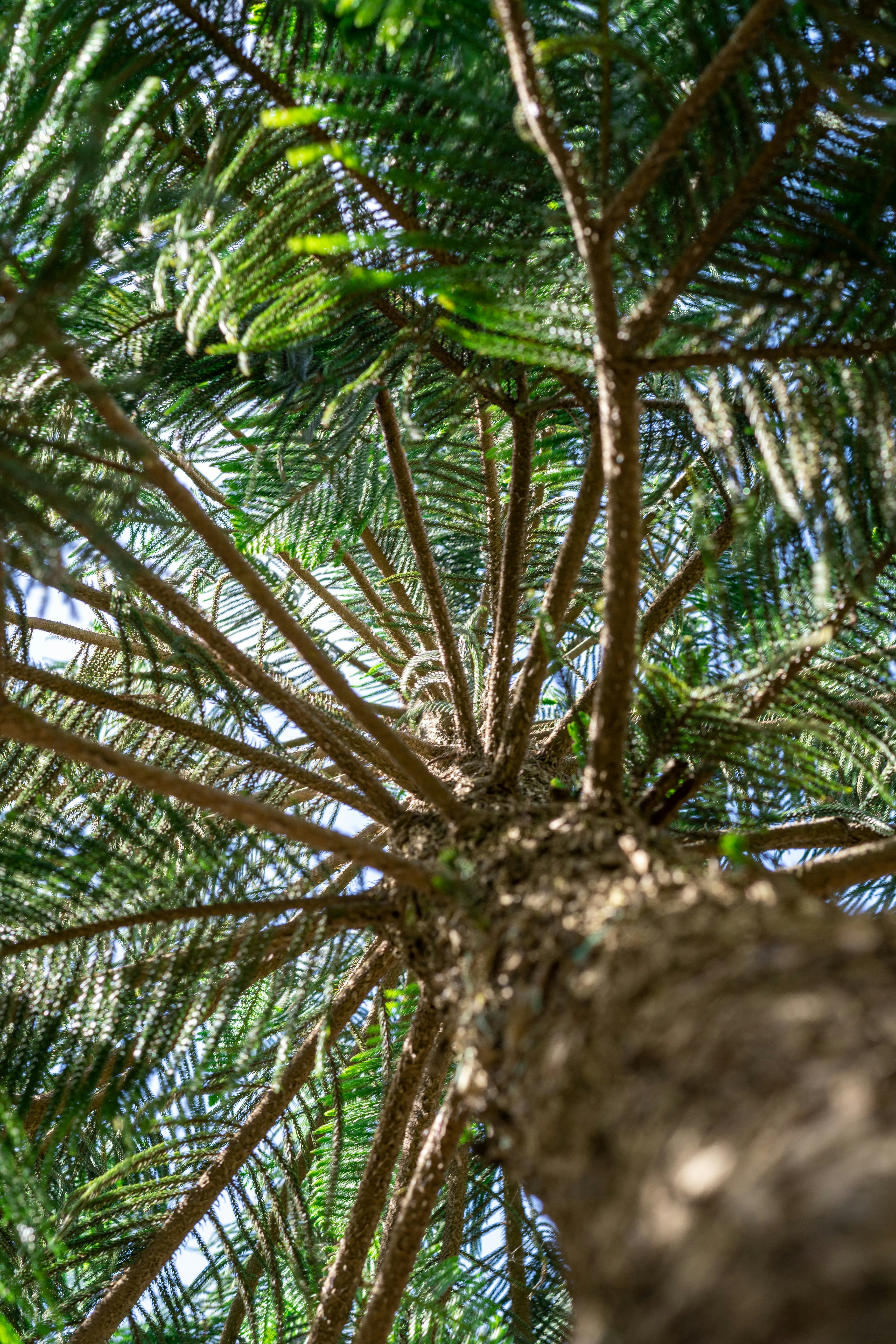 Photo by glennvillas