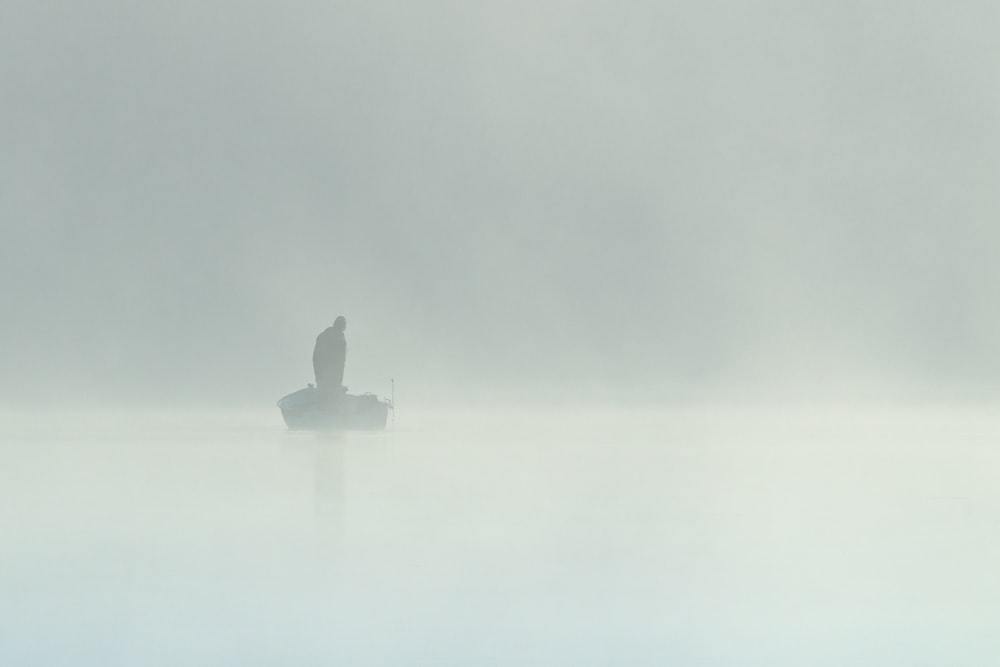 black duck on body of water