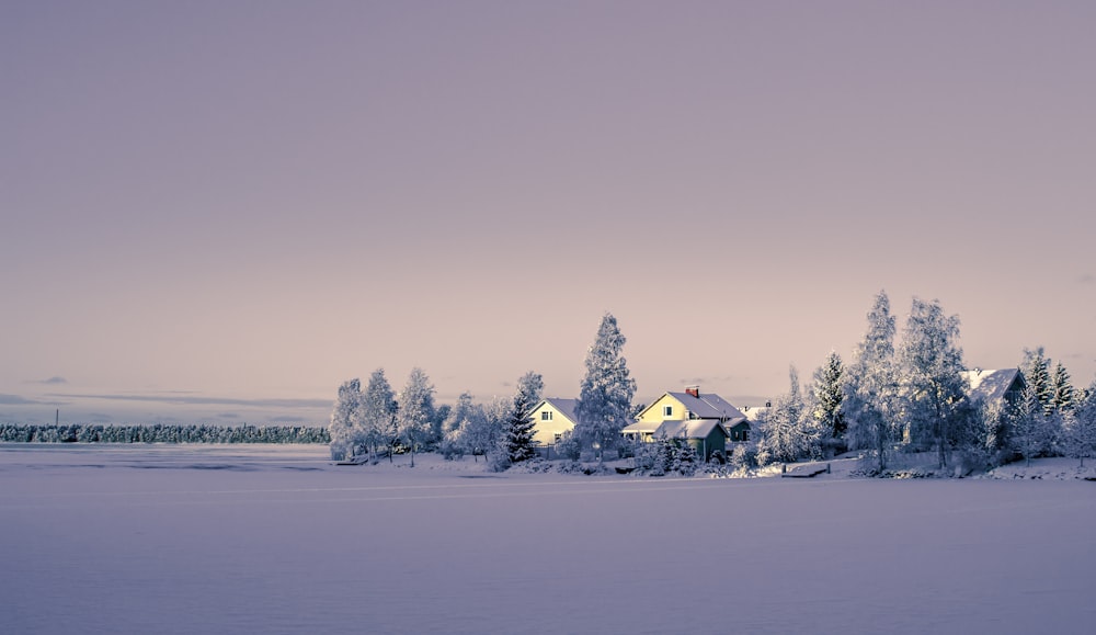 white and black house near green trees under blue sky during daytime