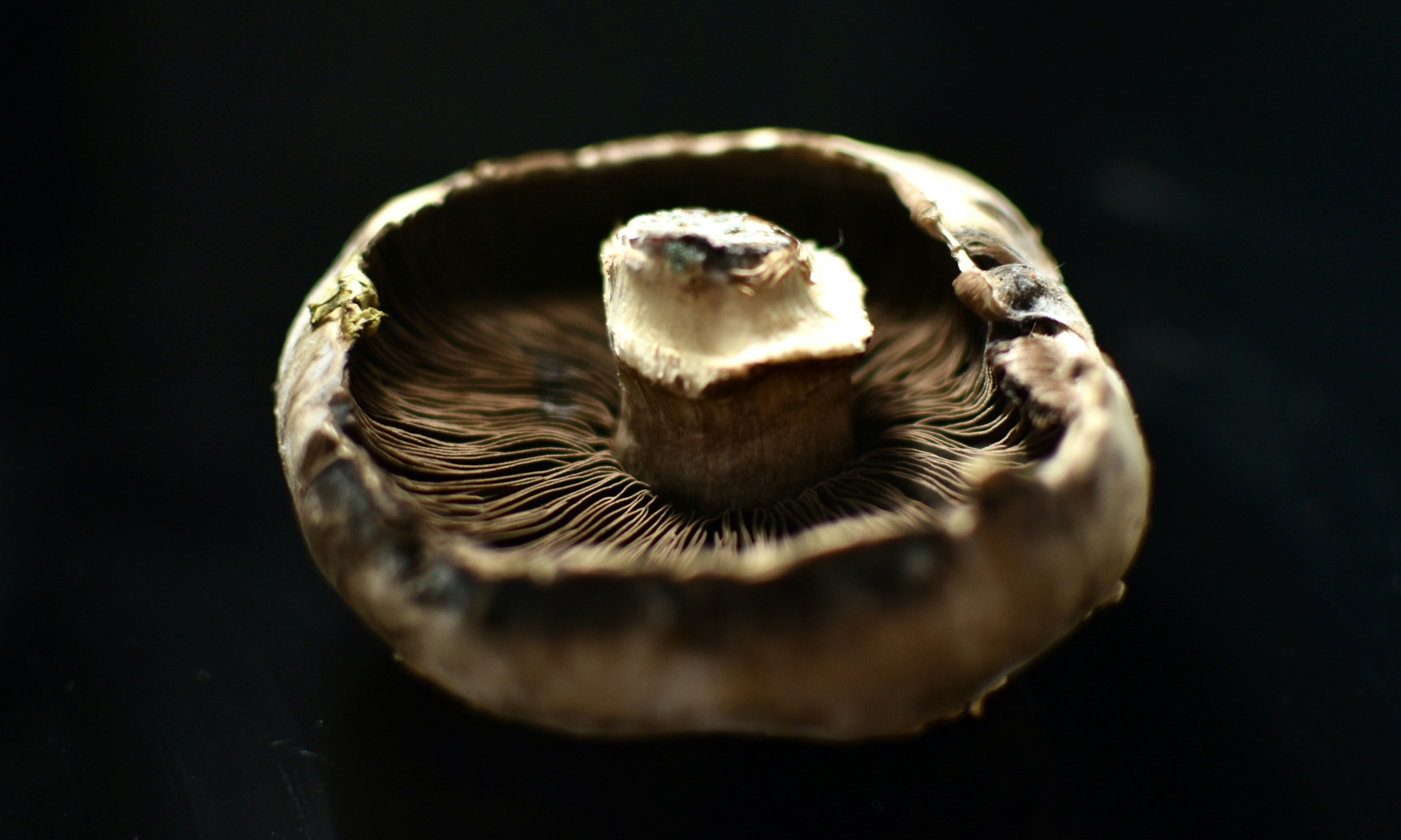 Photo by gedominique