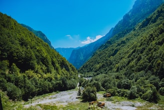 A team of environmental consultants conducting field surveys in a mountainous region.