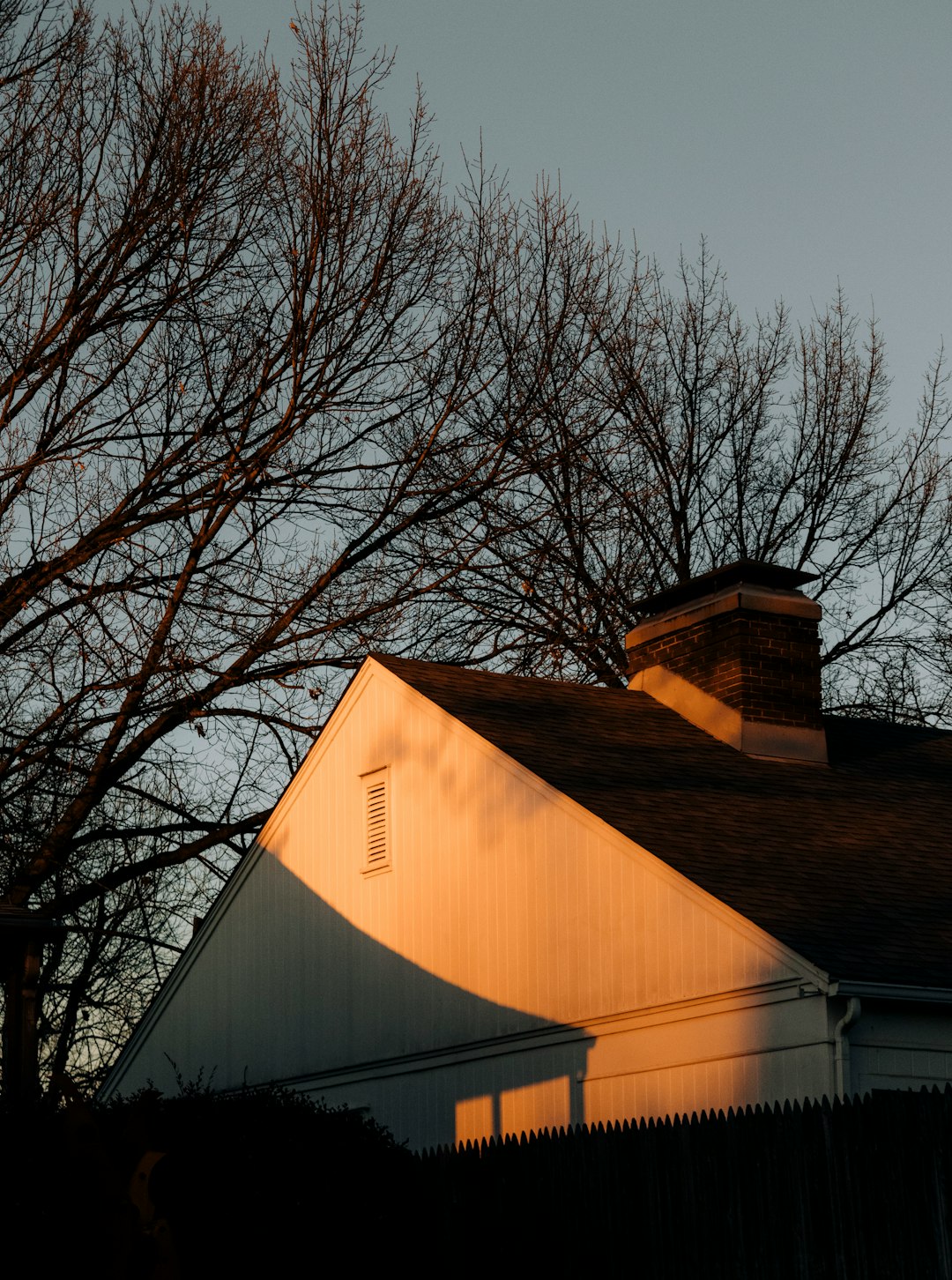 yellow and brown building near bare trees during daytime