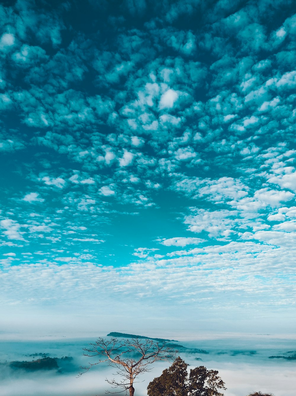 ciel bleu et nuages blancs