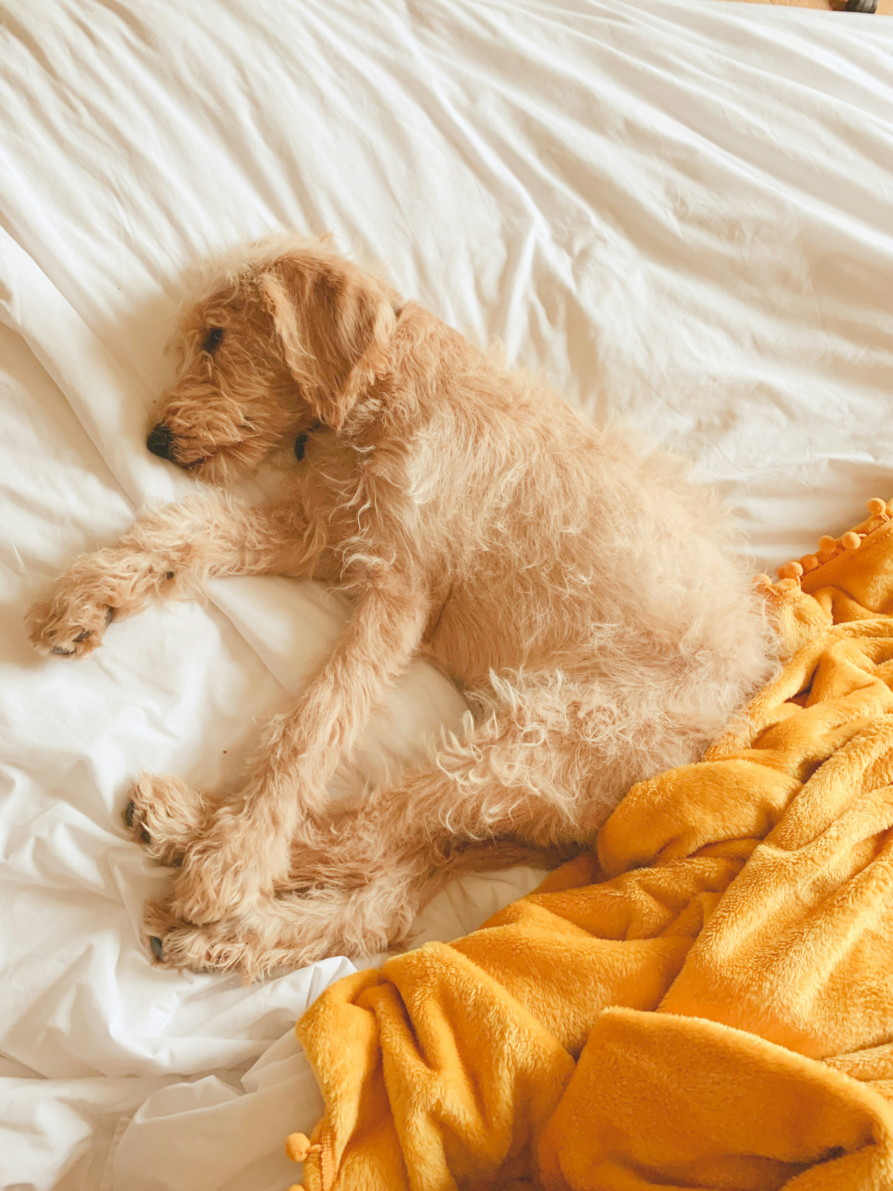 Photo by bridqgetbrooks