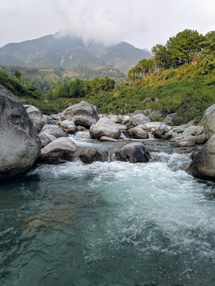 green grass and gray rocks beside river during daytime