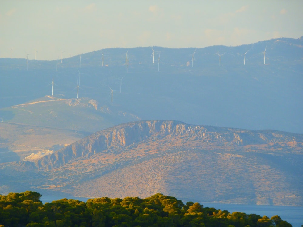 green trees and mountains during daytime