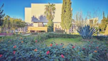 A lush villa garden in Dubai Hills with native plants and modern irrigation.