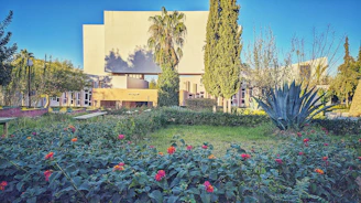 Minimalist sustainable garden design with native plants and natural materials.