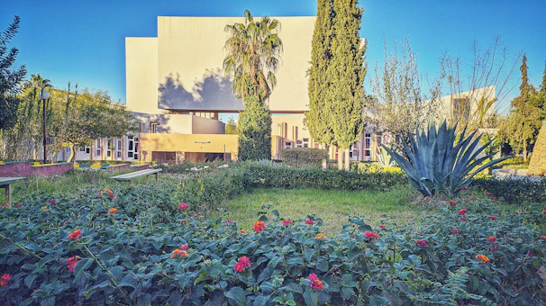 Minimalist sustainable garden design with native plants and natural materials.