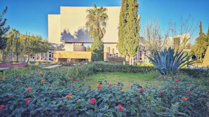 A lush villa garden in Dubai Hills with native plants and modern irrigation.