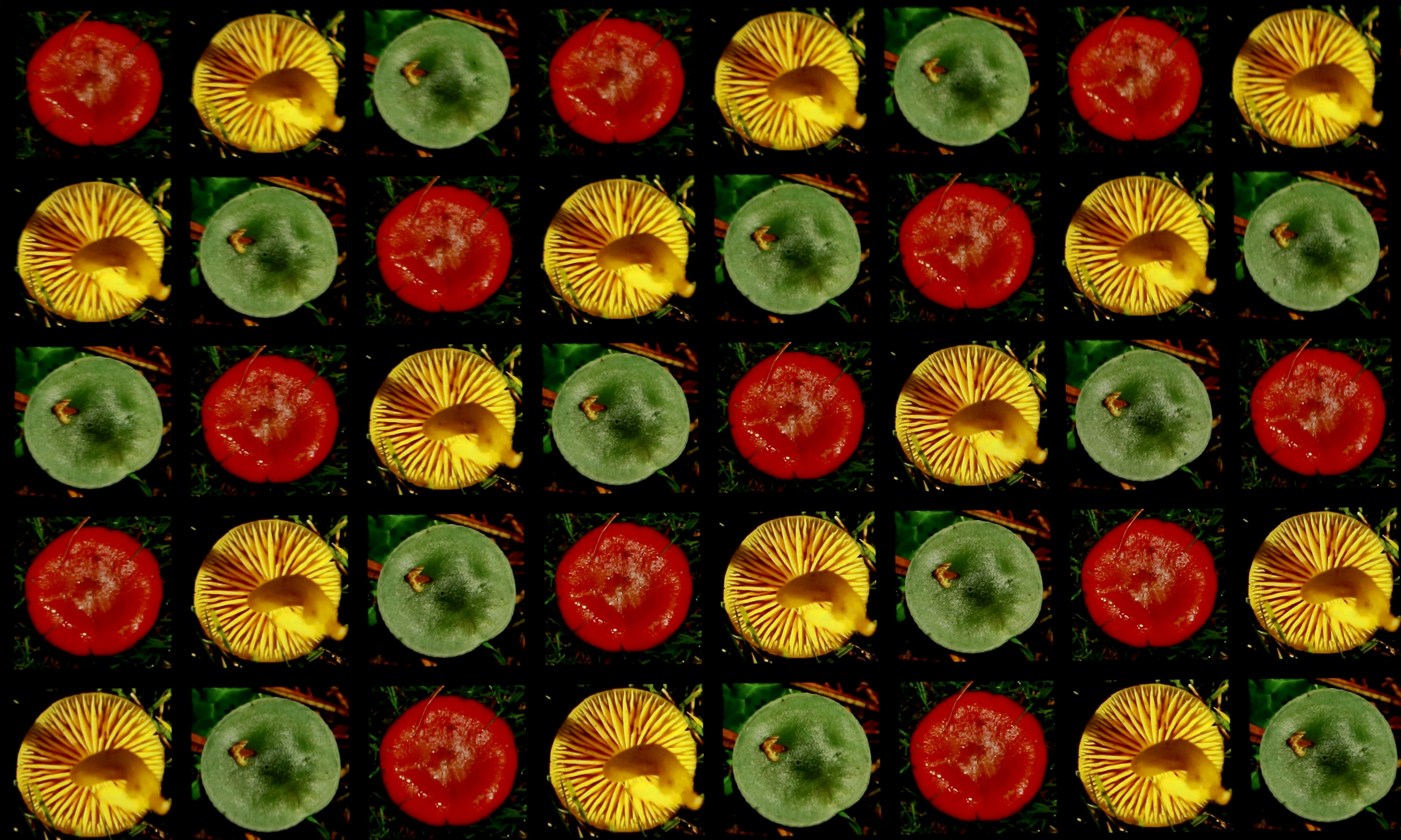 red yellow and green fruit