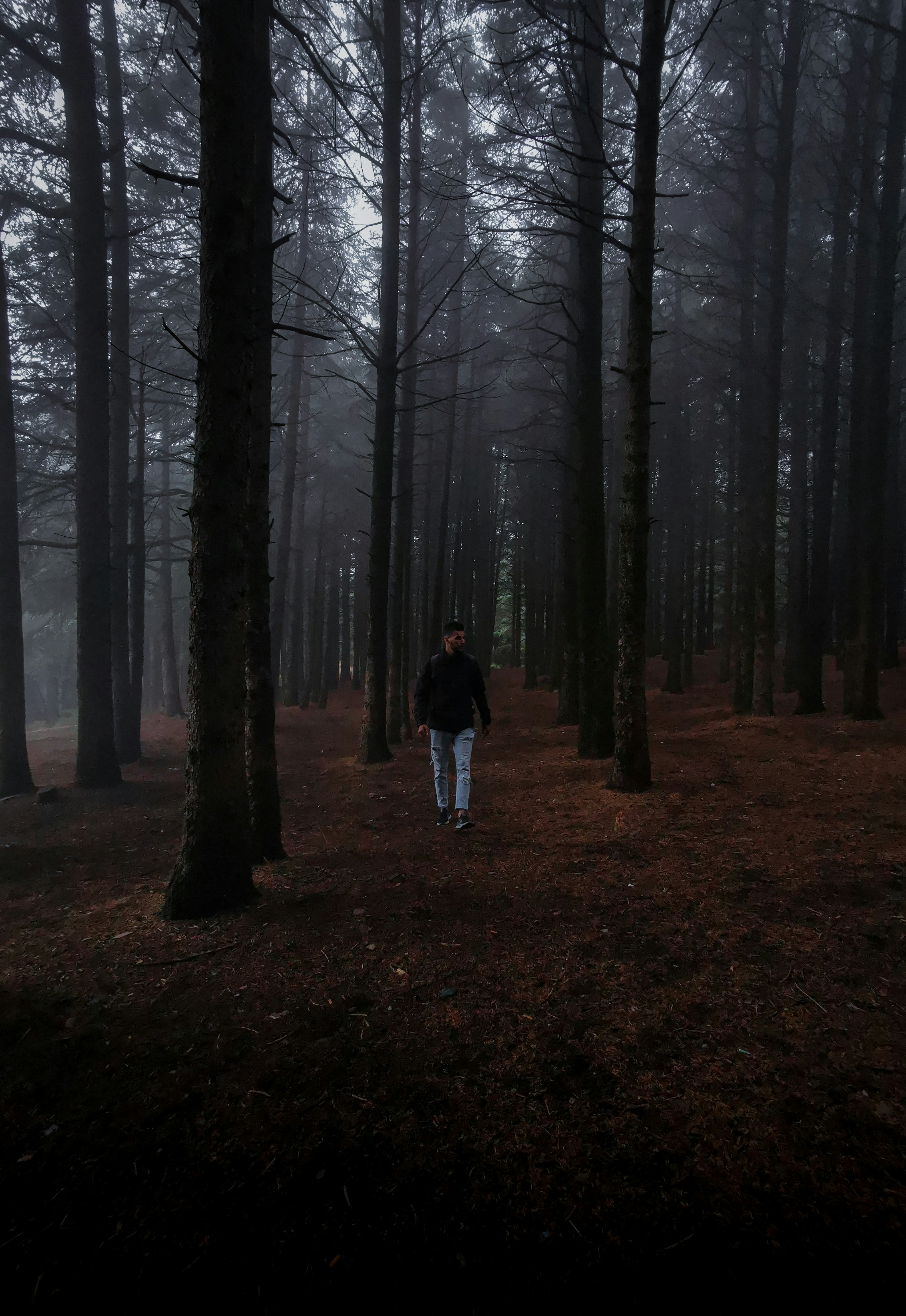 Photo by fethibenattallah