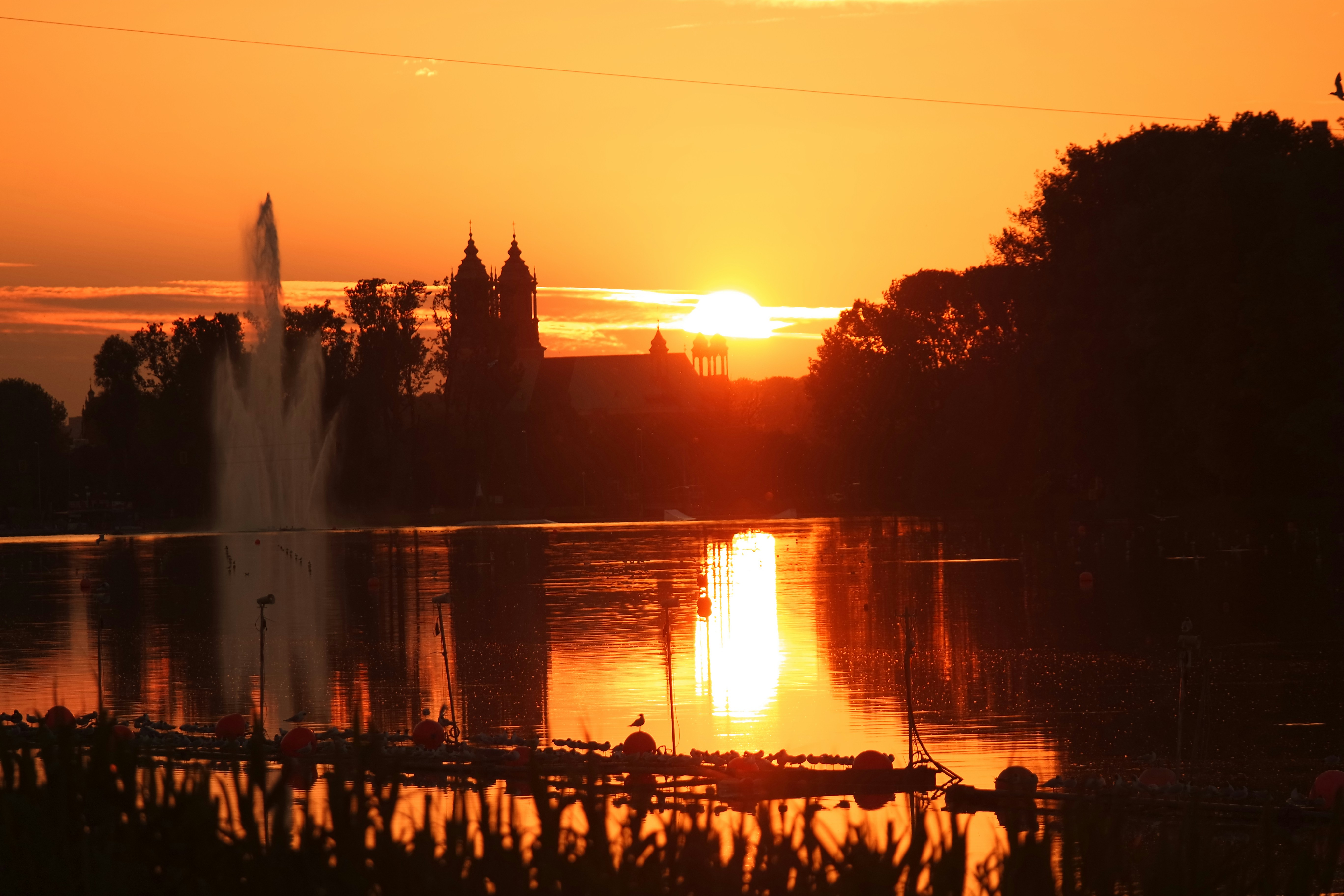 people on park near water fountain during sunset