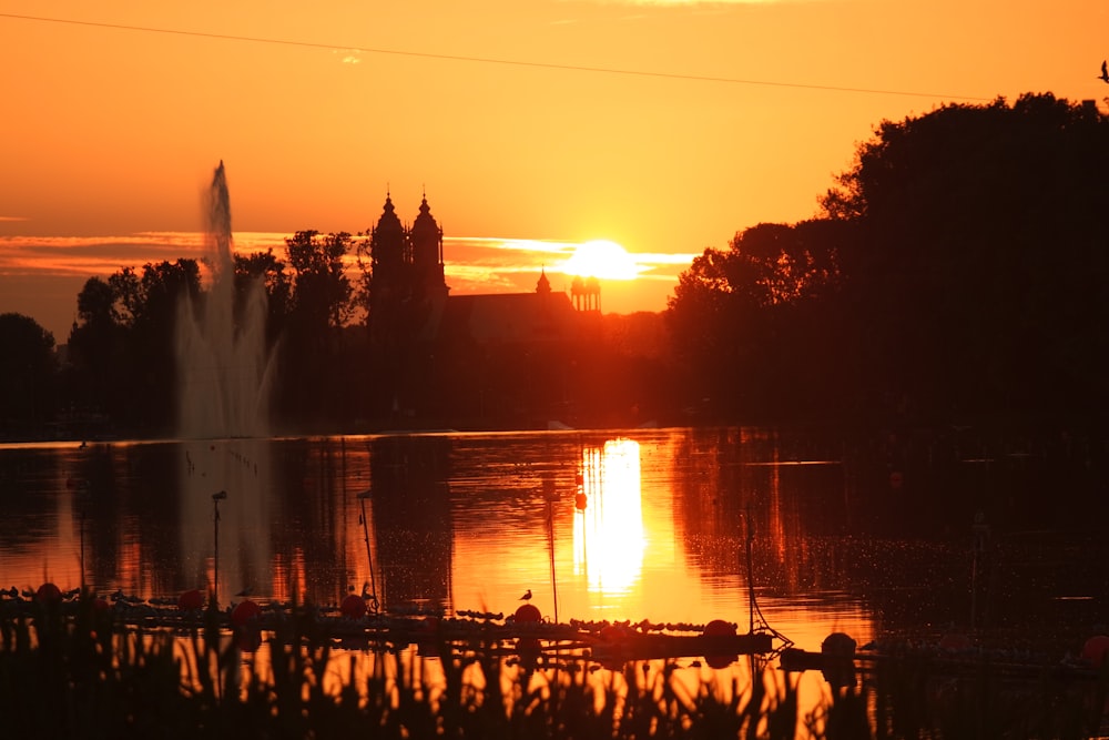 people on park near water fountain during sunset