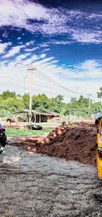 A rural landscape featuring animals like buffalo resting near a simple shelter, surrounded by green vegetation. The foreground displays a mound of dirt, with some vehicles visible along the edge. Power lines stretch across a vibrant blue sky with scattered clouds.
