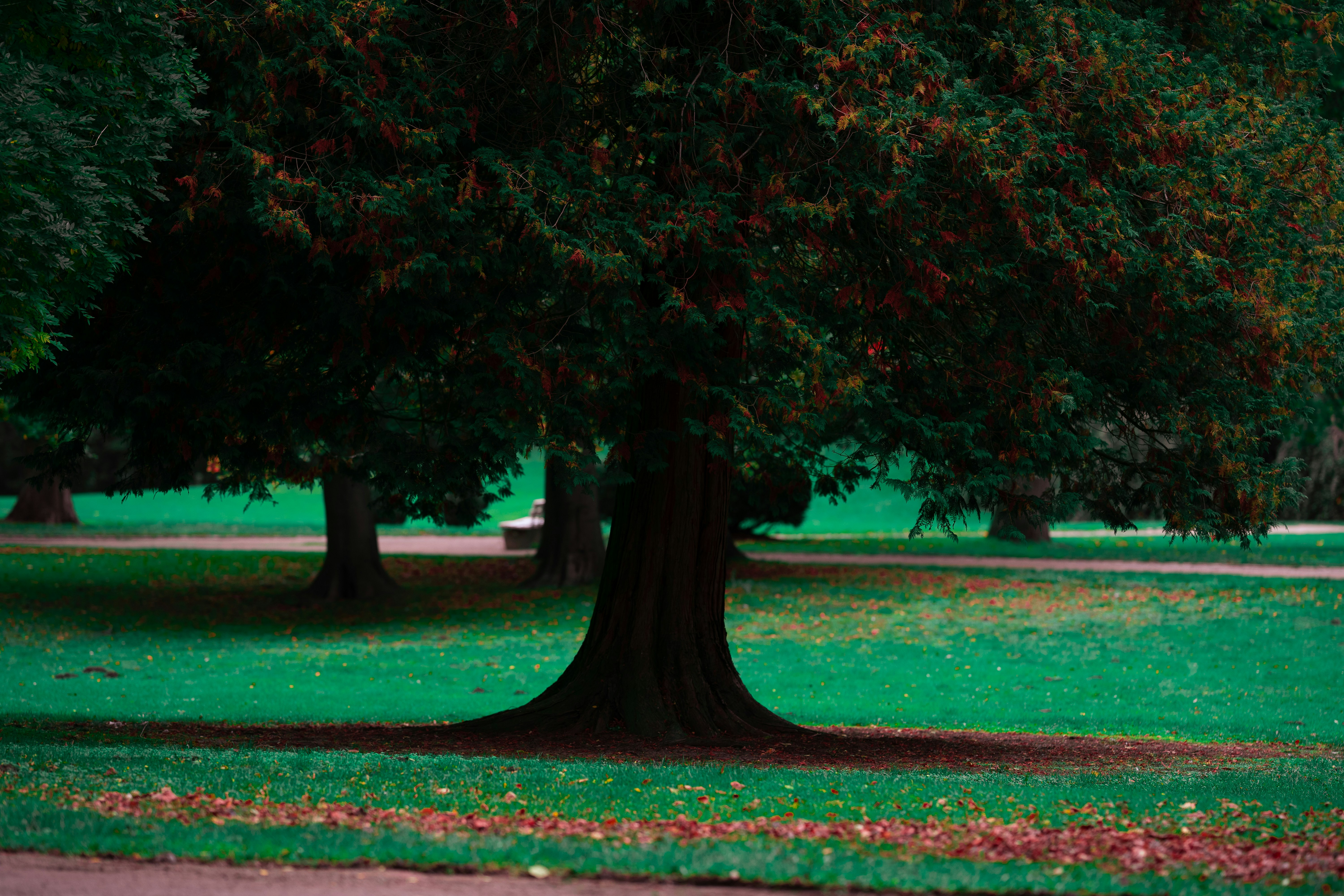 Photo by omarvellous14