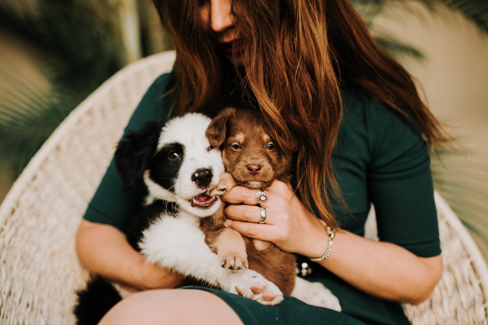 woman in black tank top holding black and white short coated small dog