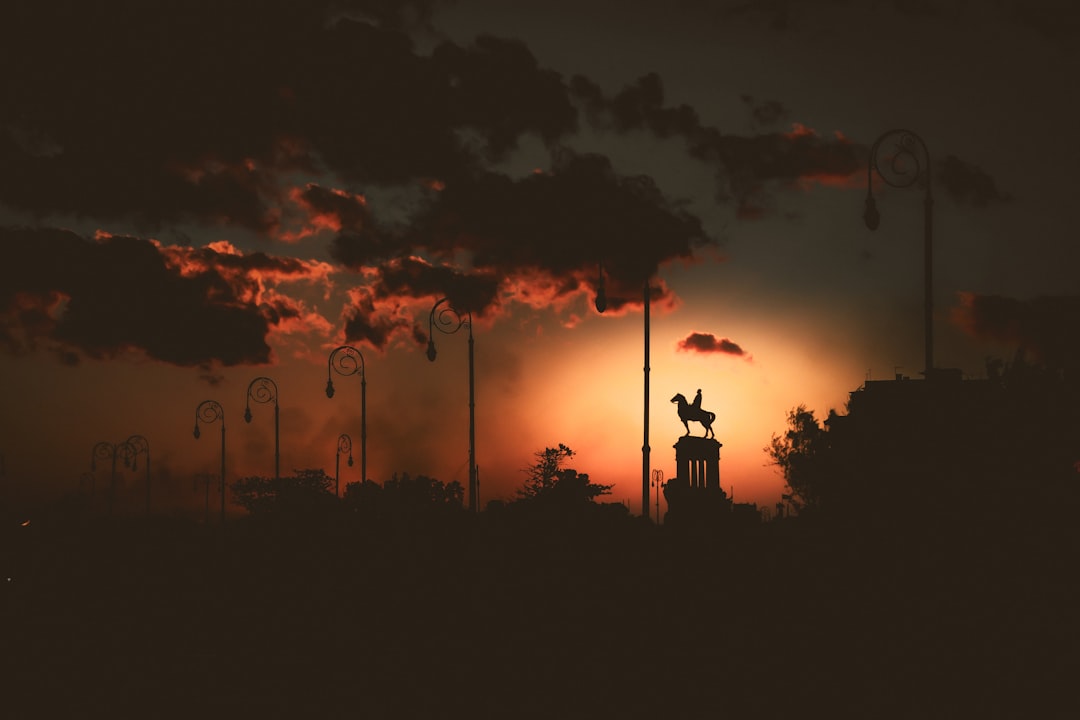 silhouette of trees during sunset