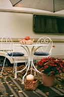 red and white flowers on white table