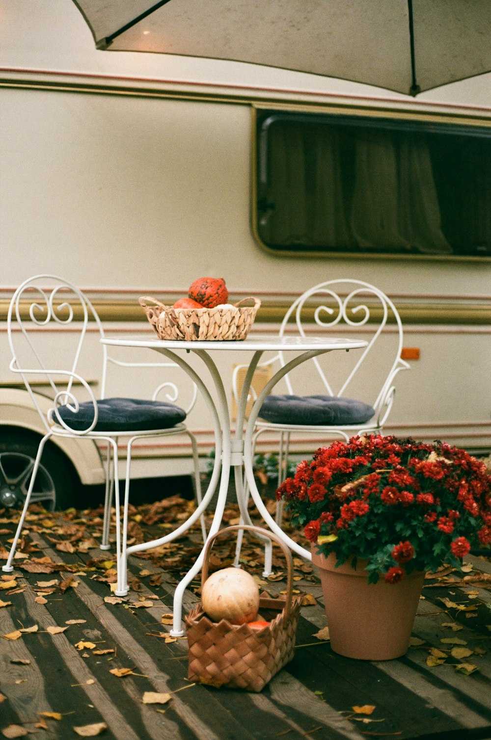 red and white flowers on white table