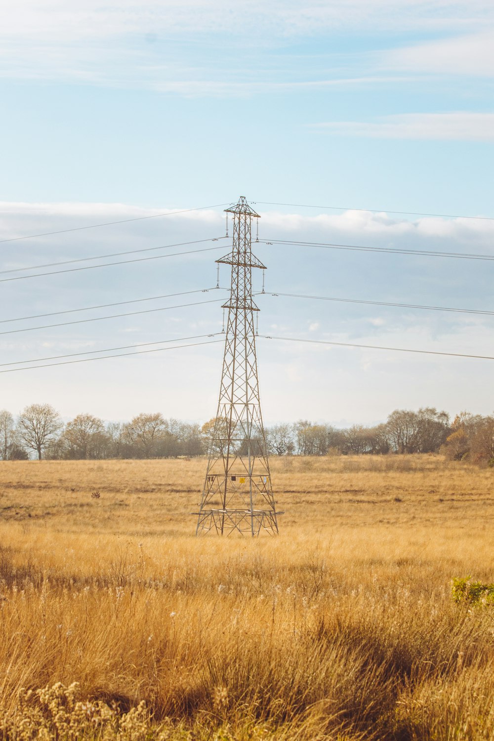 brown grass field with electric post under blue sky during daytime