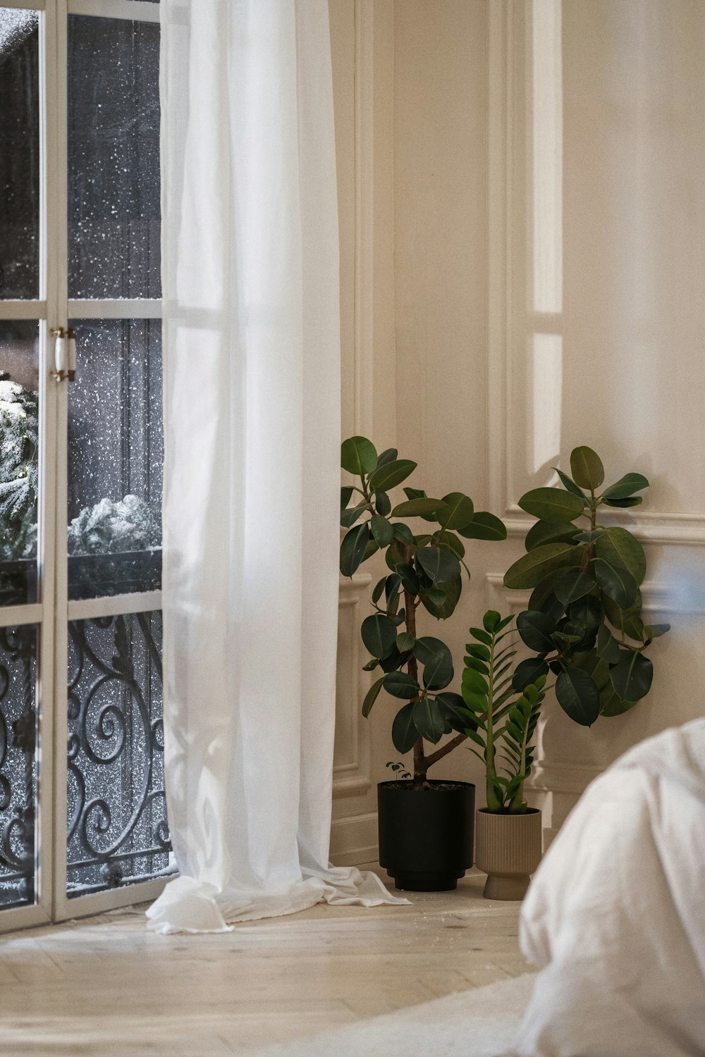 green plant on black pot beside white window curtain