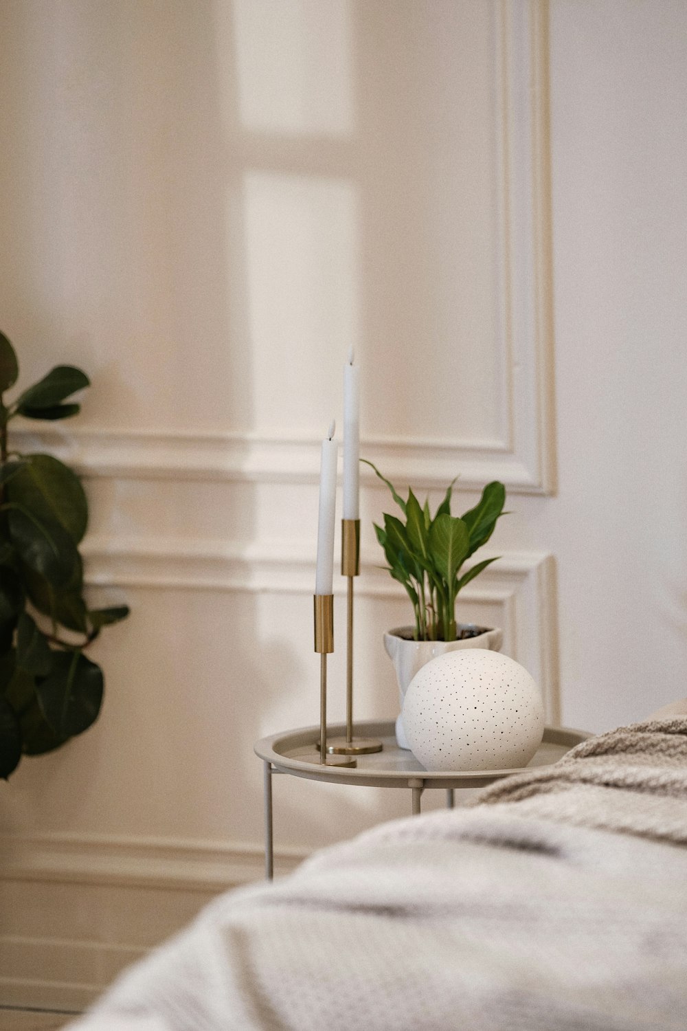 green plant on white ceramic pot