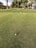 A golf ball is positioned on a manicured green, with a flagstick lying on the grass in the background. The scene is surrounded by tall palm and other trees, with a slightly cloudy sky visible.