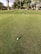 A golf ball is positioned on a manicured green, with a flagstick lying on the grass in the background. The scene is surrounded by tall palm and other trees, with a slightly cloudy sky visible.