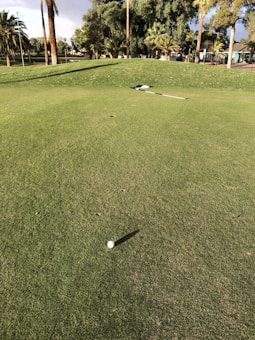 A golf ball is positioned on a manicured green, with a flagstick lying on the grass in the background. The scene is surrounded by tall palm and other trees, with a slightly cloudy sky visible.