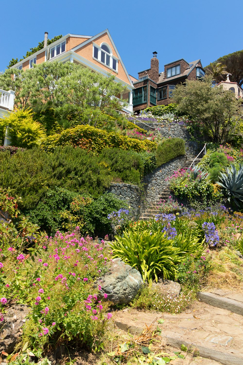 green and purple plants near brown concrete house during daytime