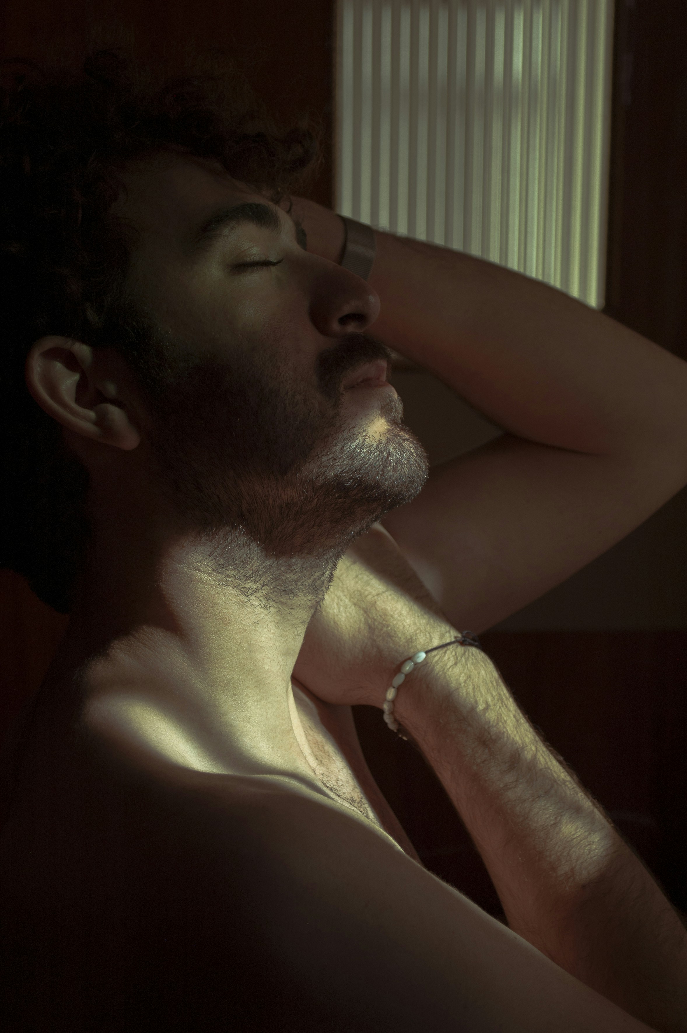 Photo by baranlotfollahi