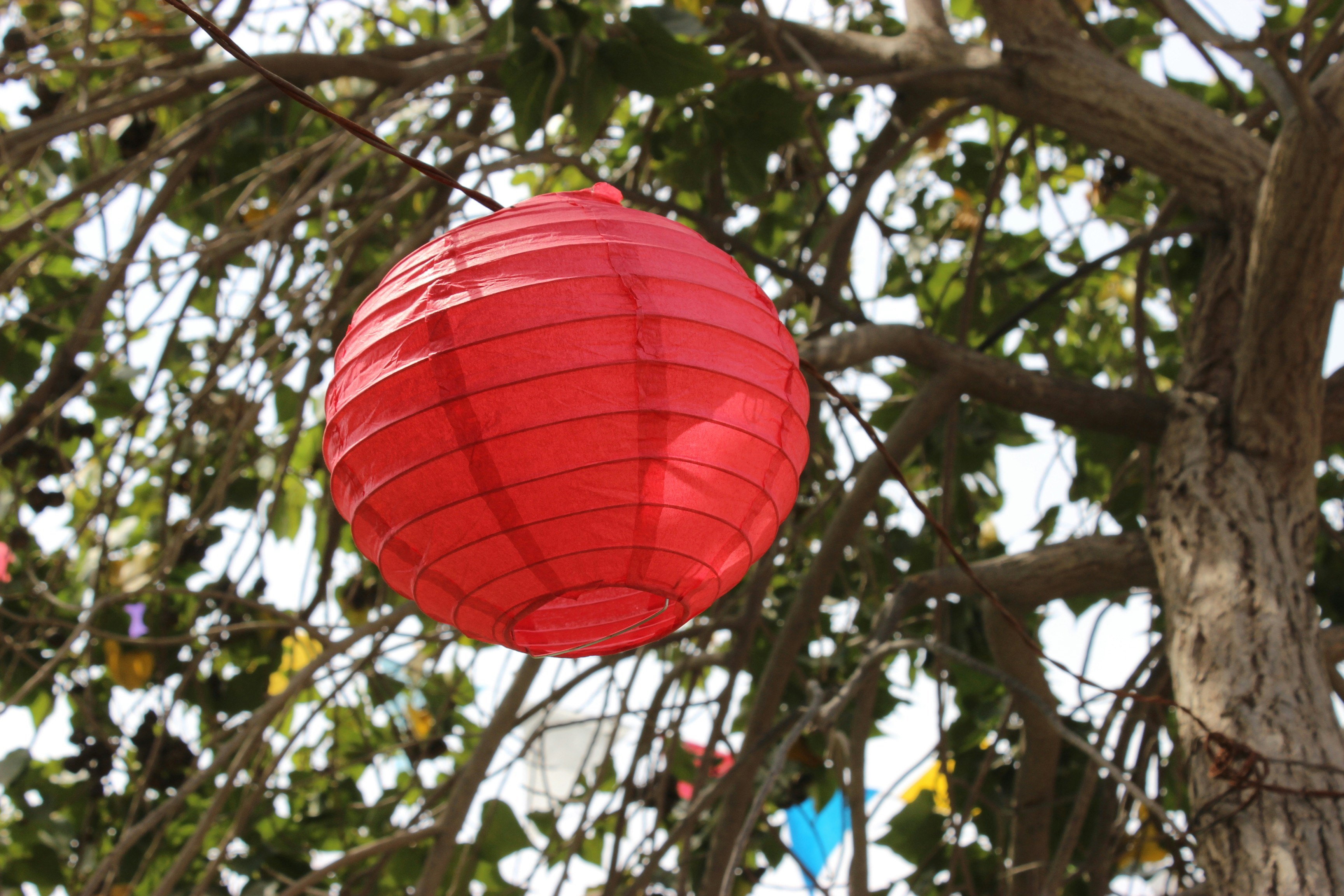 Photo by zeeshantejani