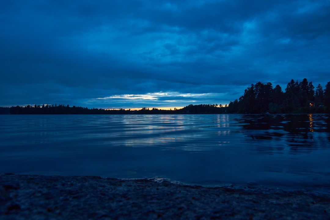 body of water near trees under cloudy sky during daytime