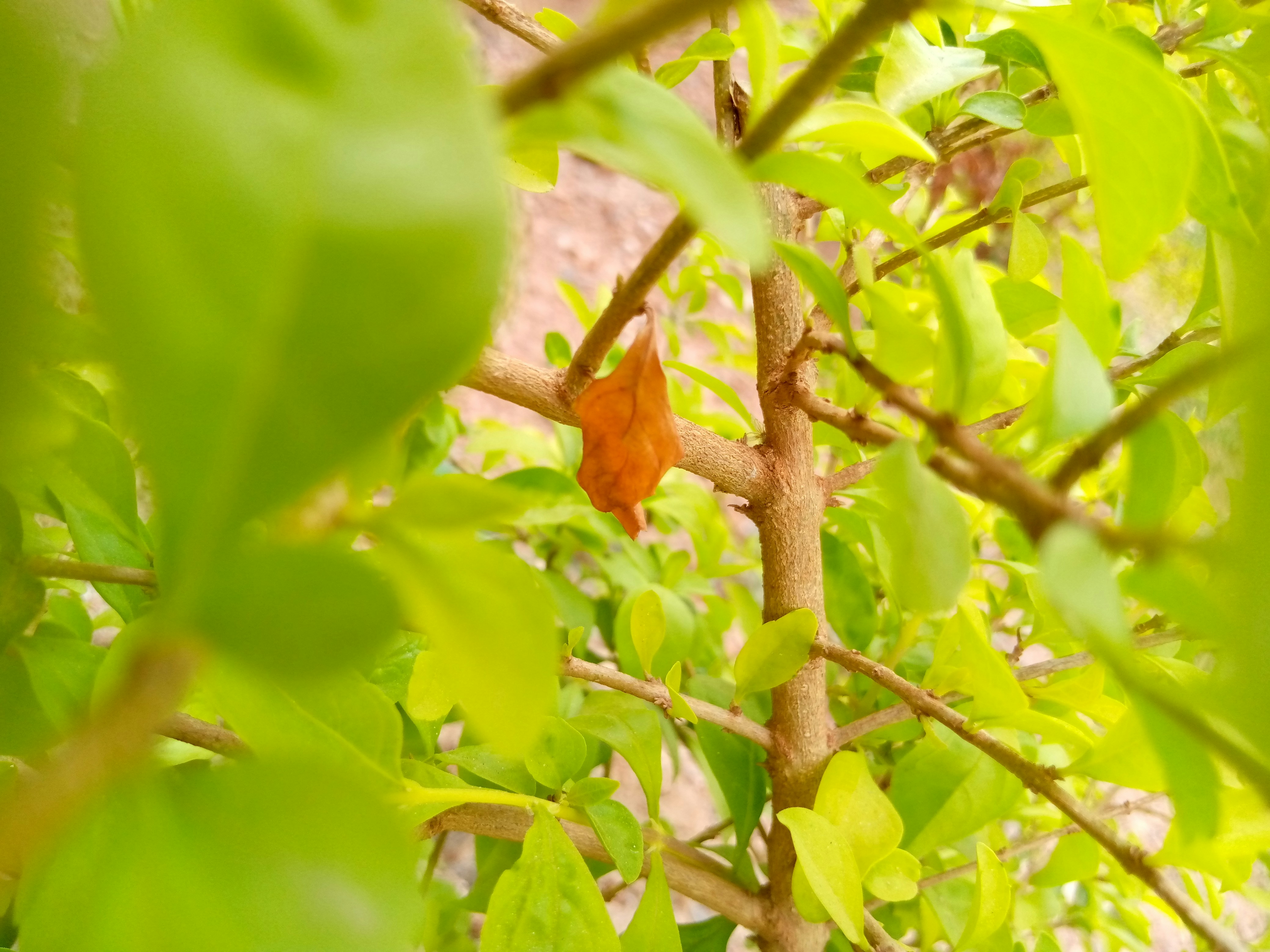 Photo by morgan_obam1