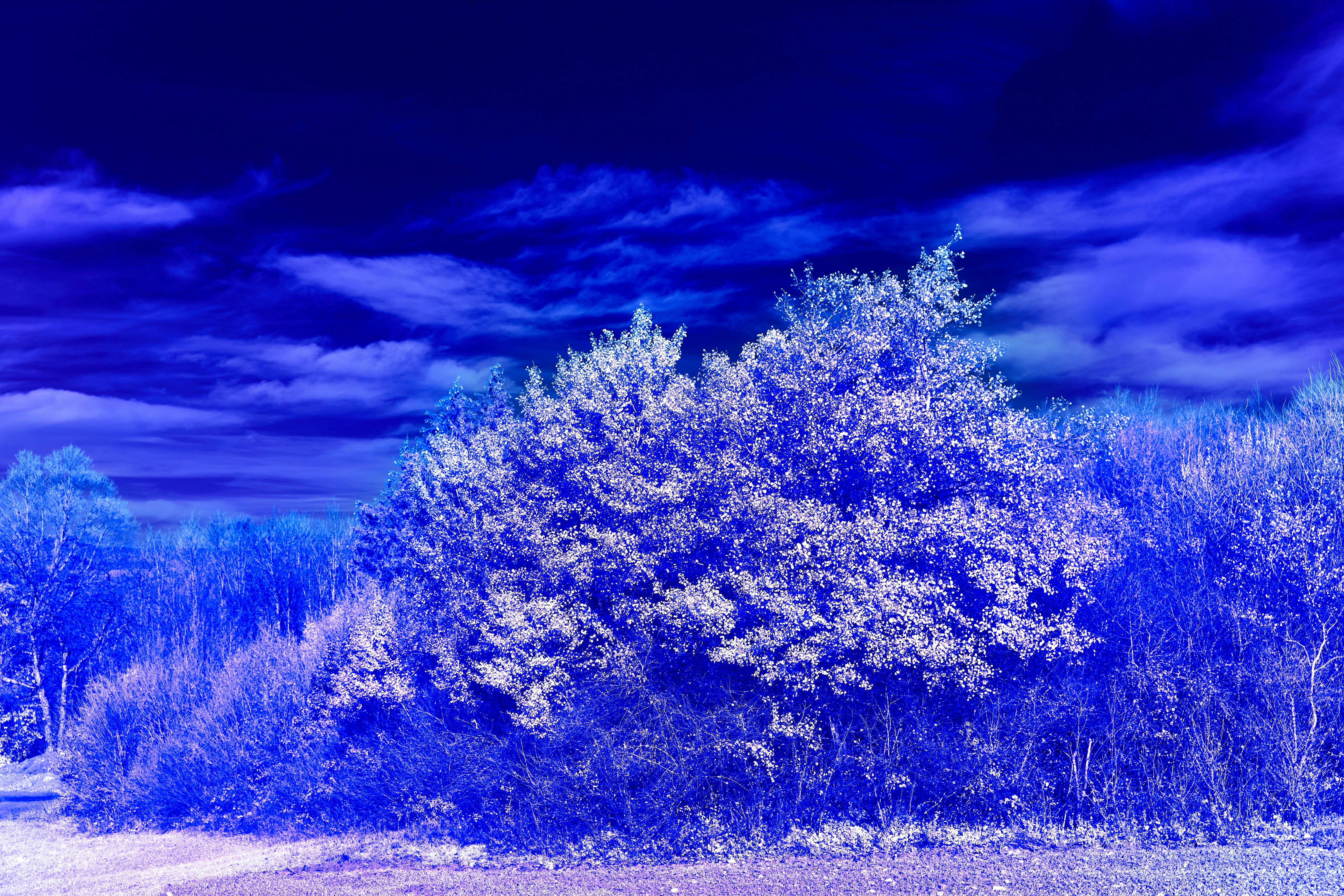 Photo by wolfgang_hasselmann