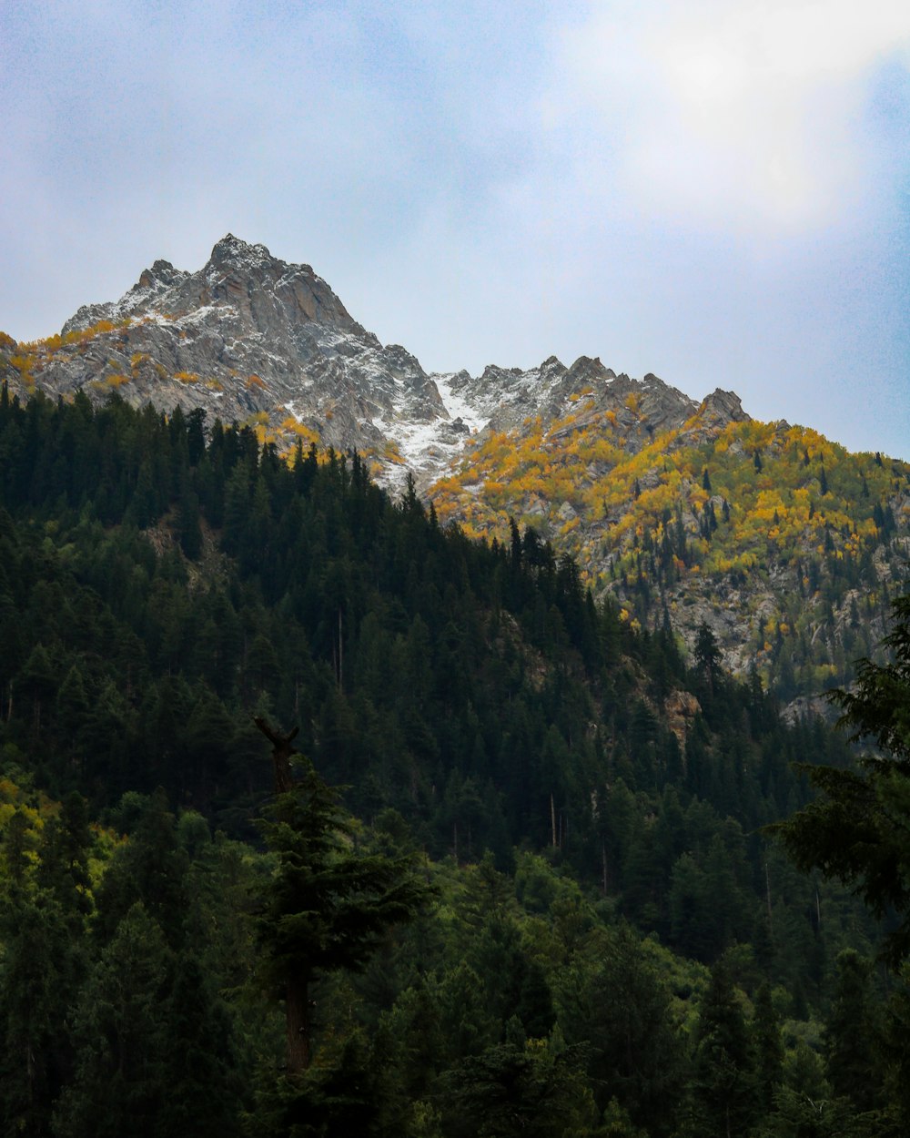 green trees near mountain under white clouds during daytime