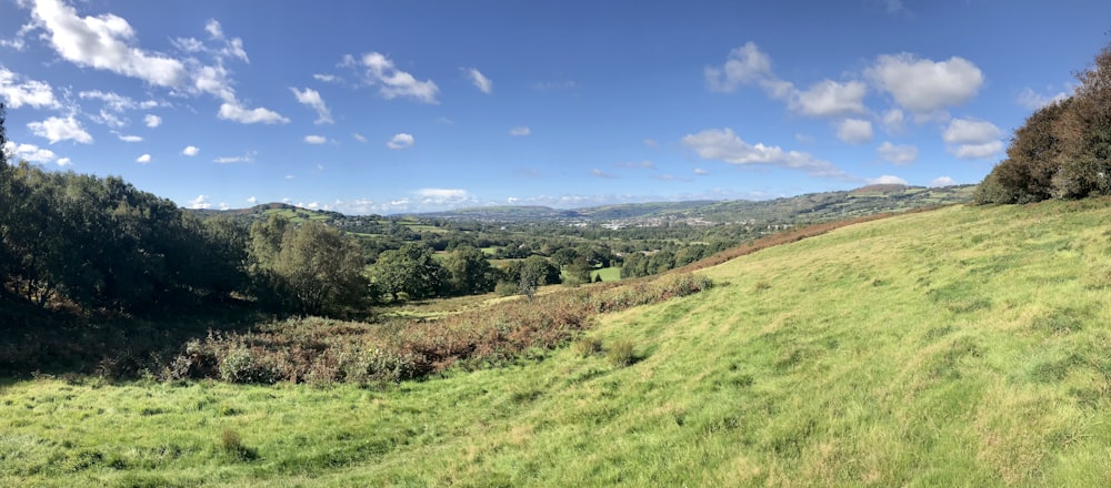 Campo de hierba verde bajo el cielo azul durante el día