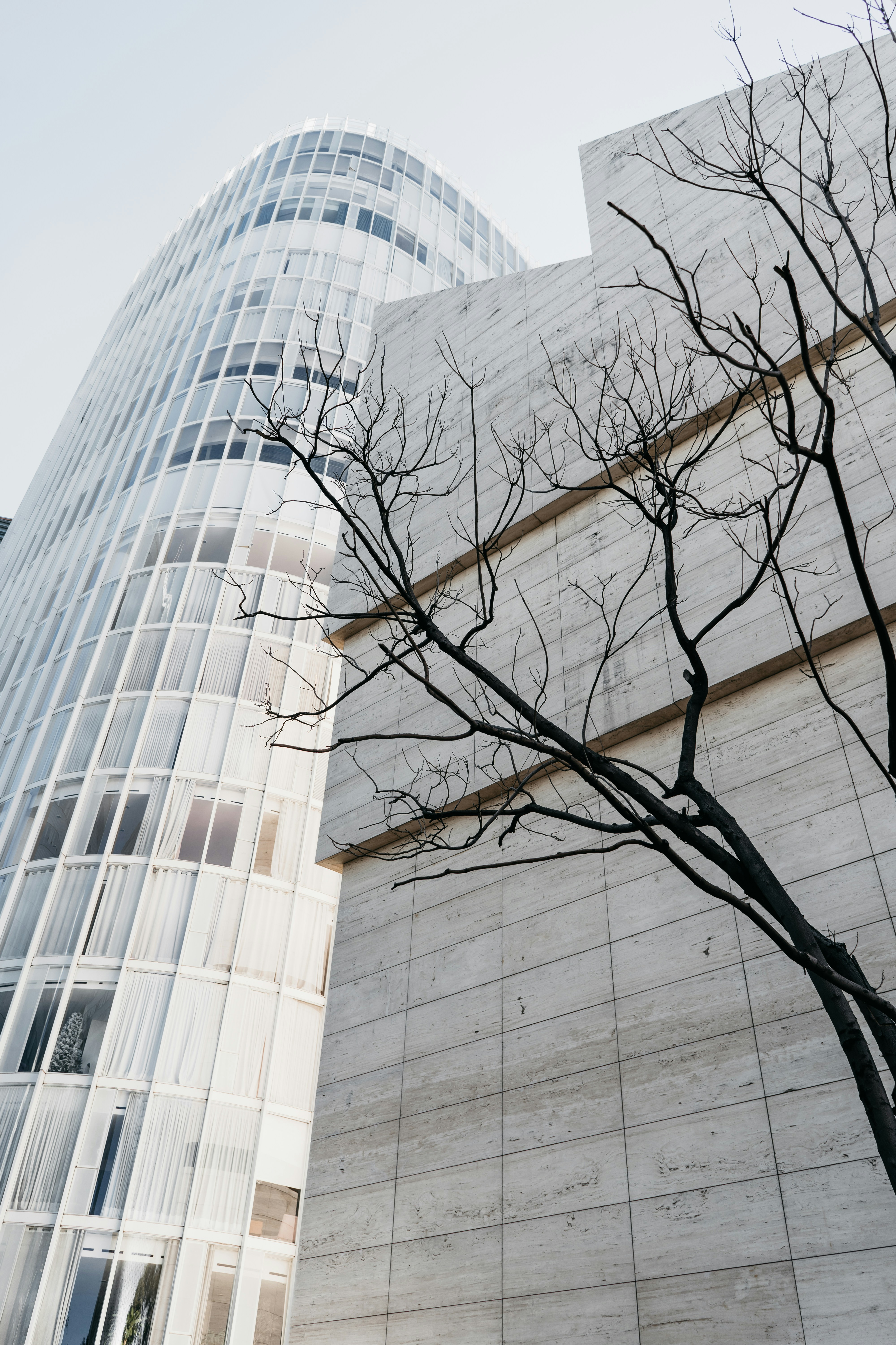 Photo by brunocervera