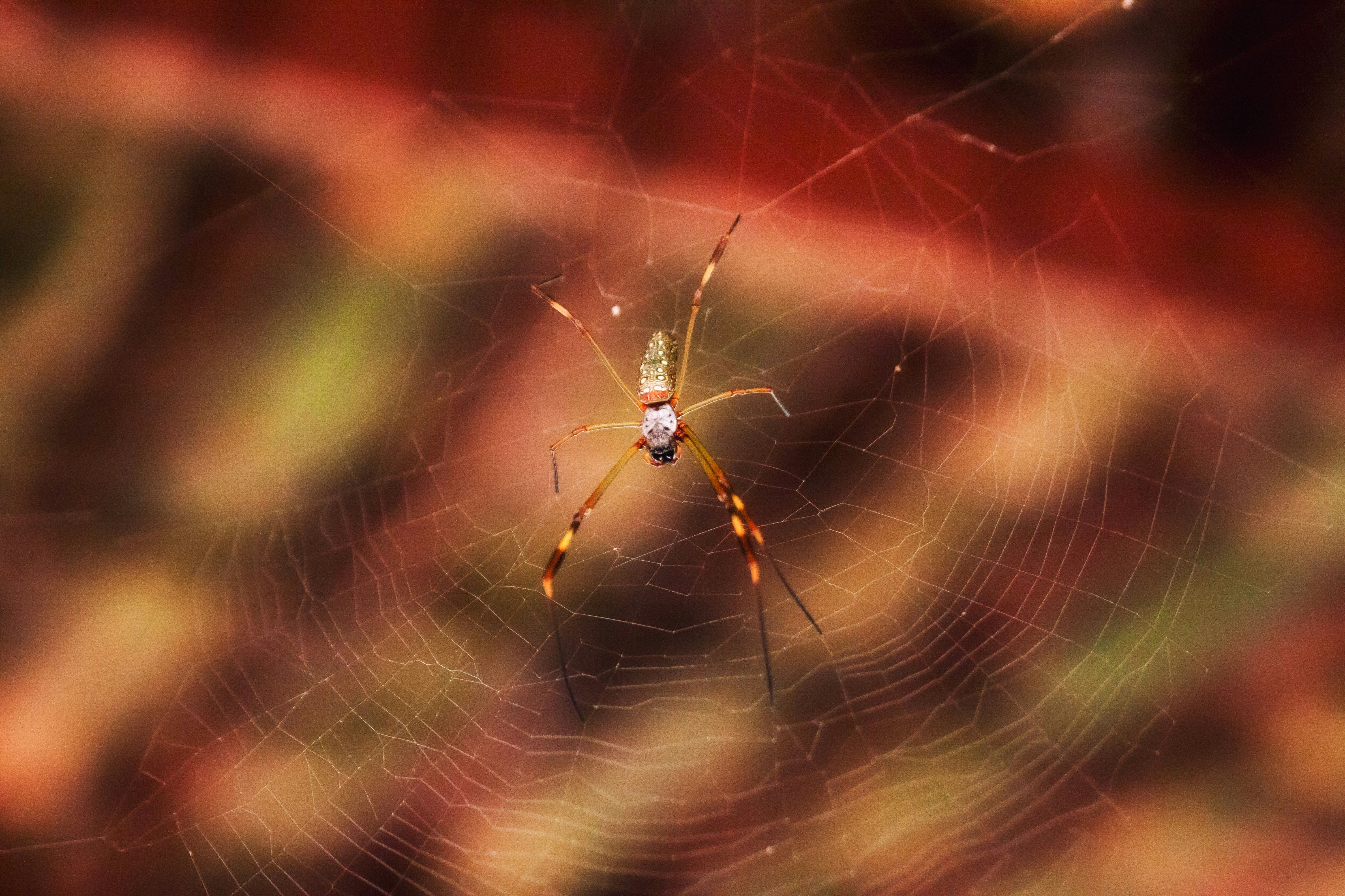 Photo by jrlightcolor
