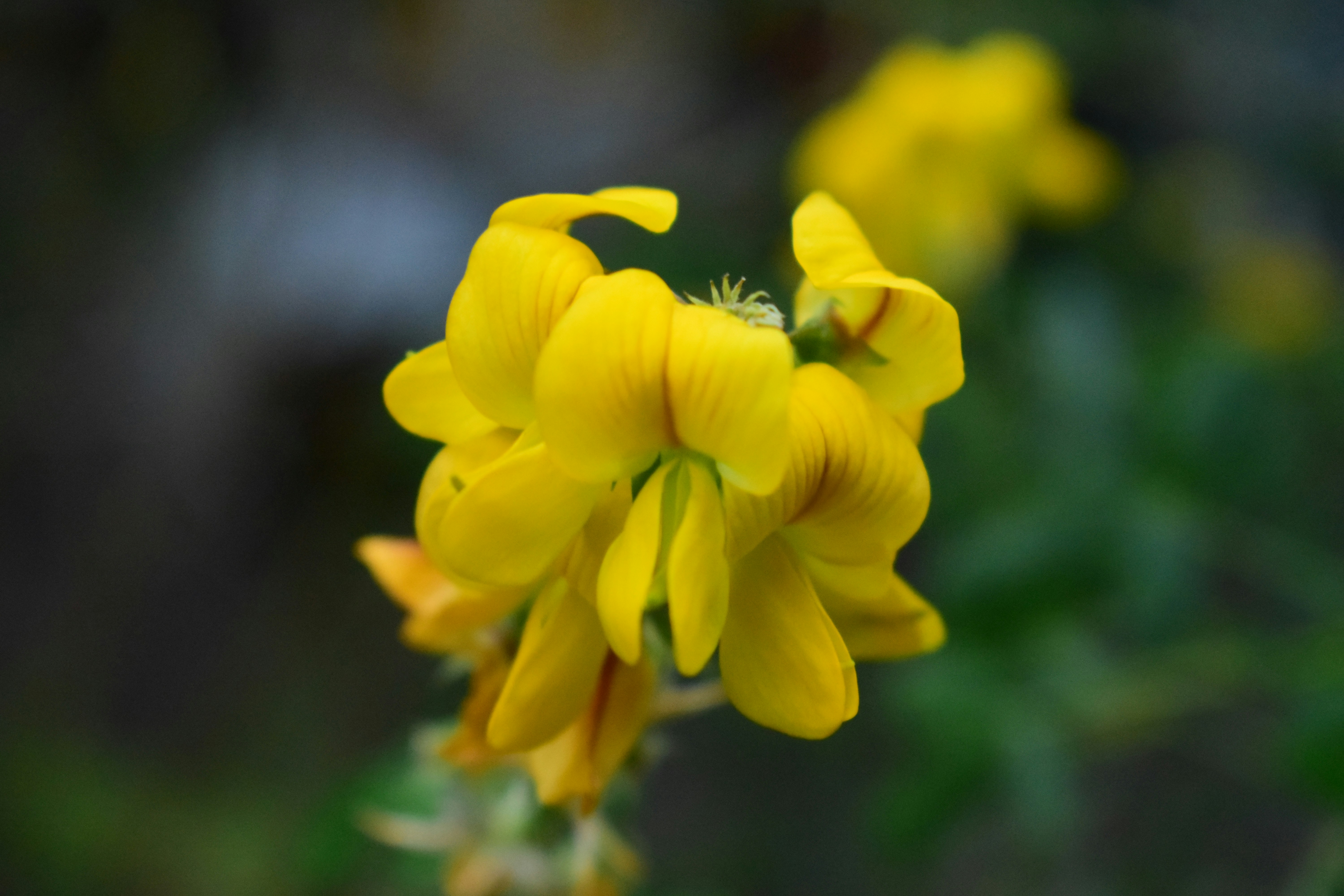 Photo by longlivehaas