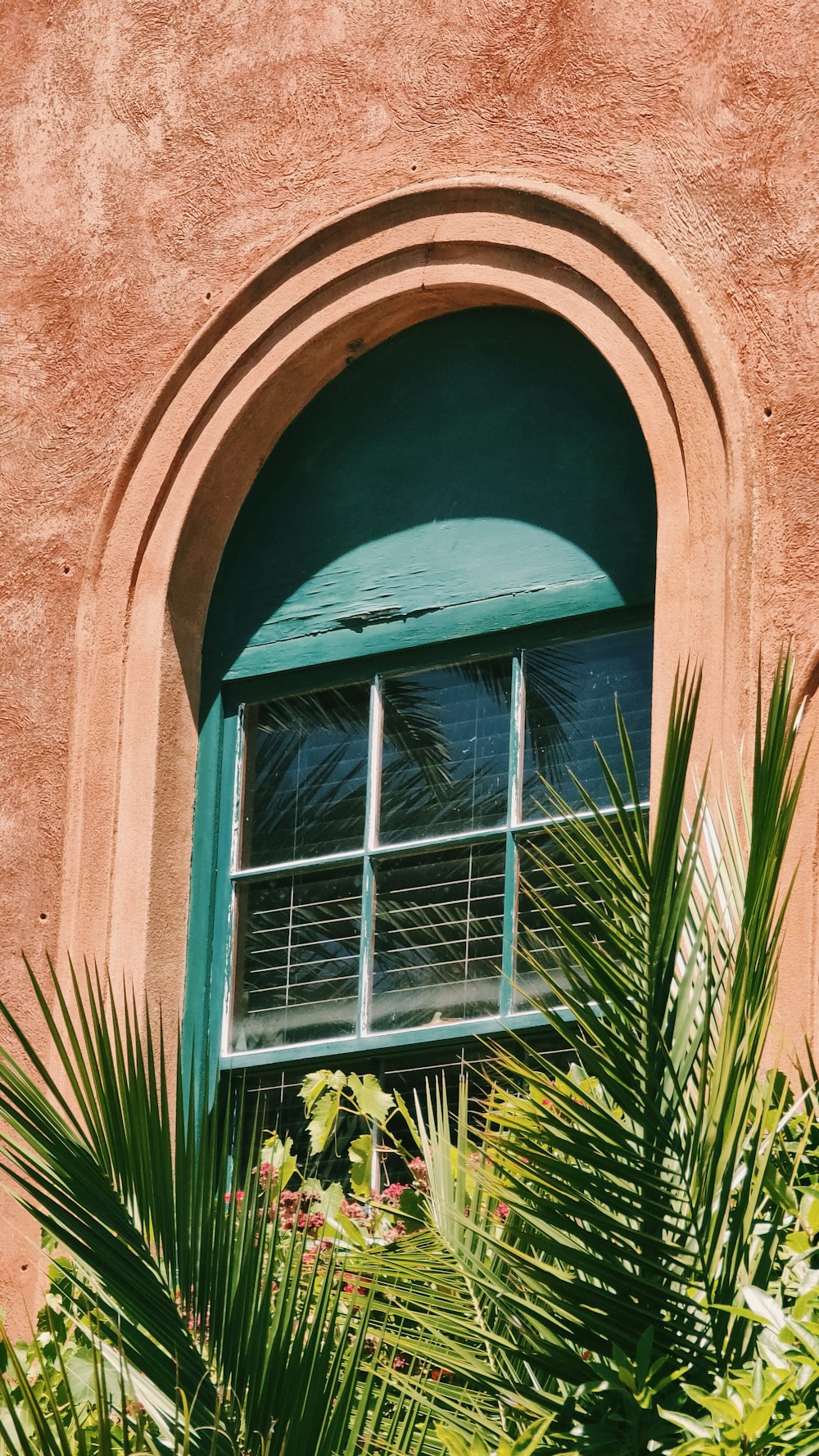 green plants beside white window frame