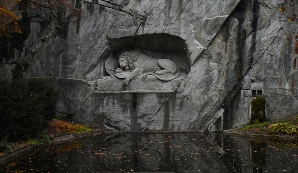 gray concrete building with water