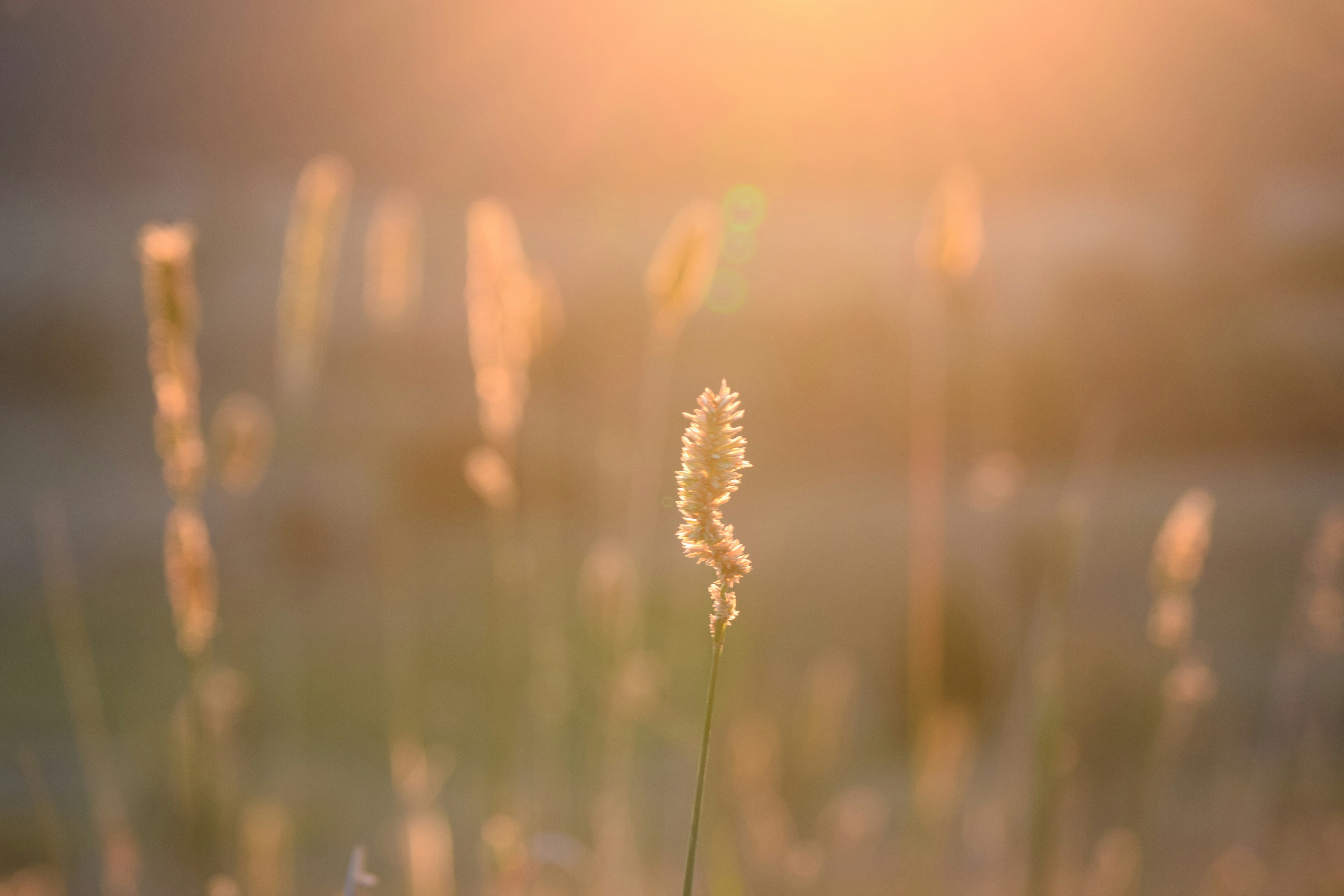 Photo by baileydreyer