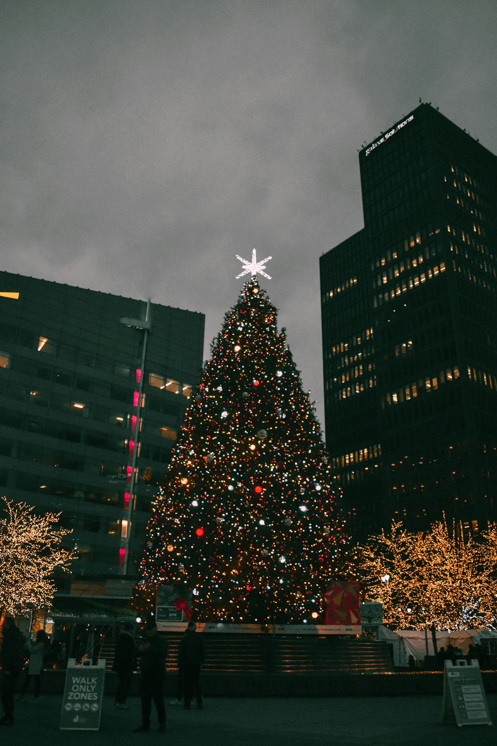 Árbol de Navidad con luces de cadena cerca de un edificio de gran altura