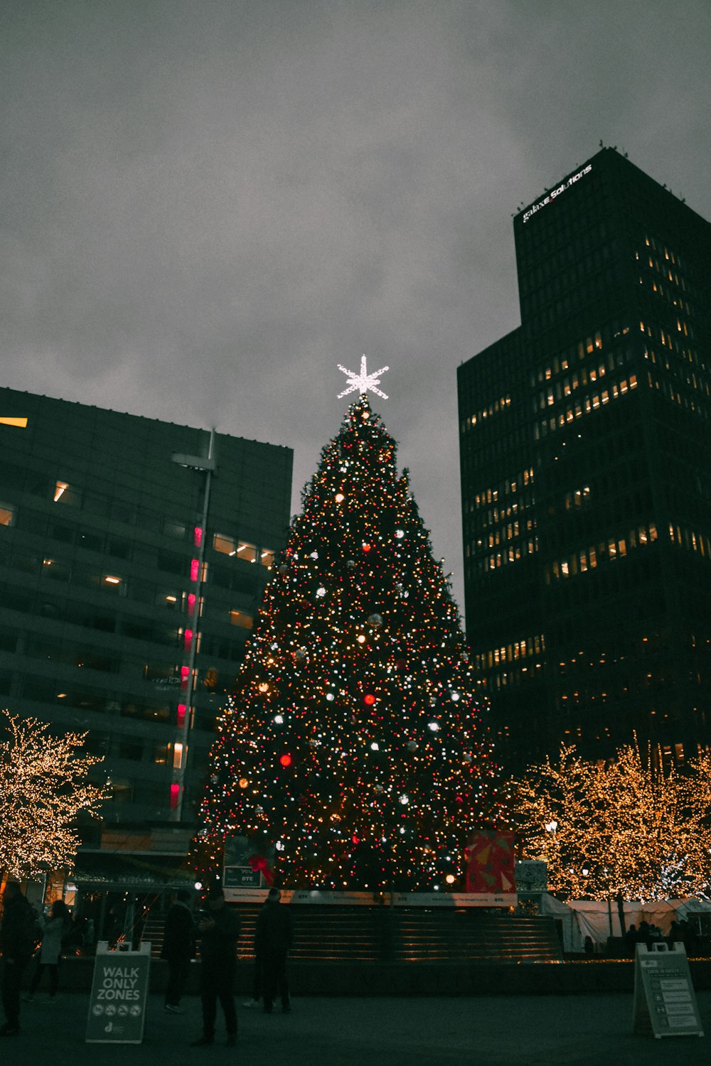 christmas tree with string lights near high rise building