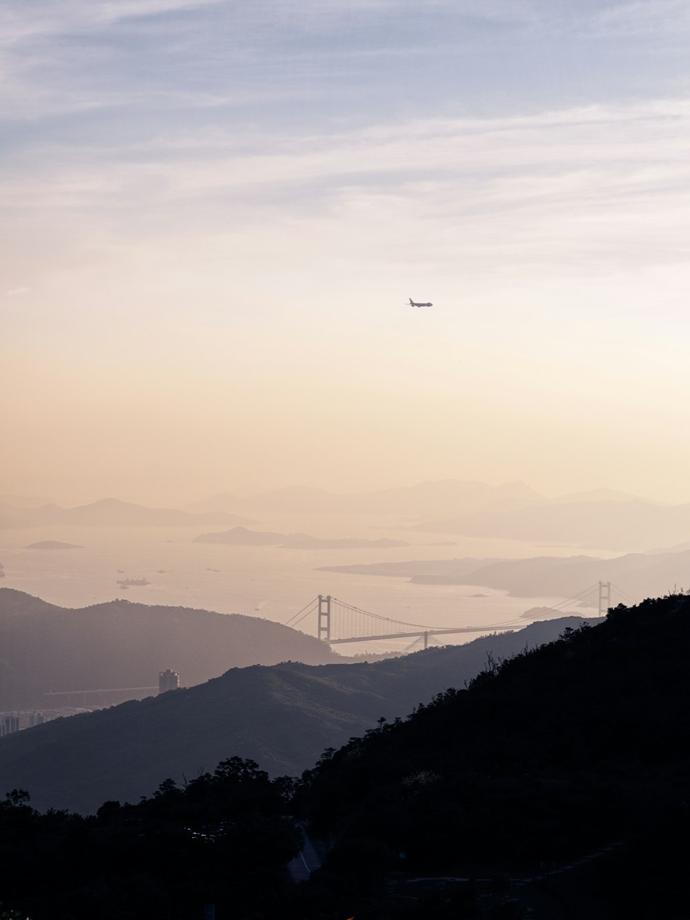 bird flying over the bridge during daytime