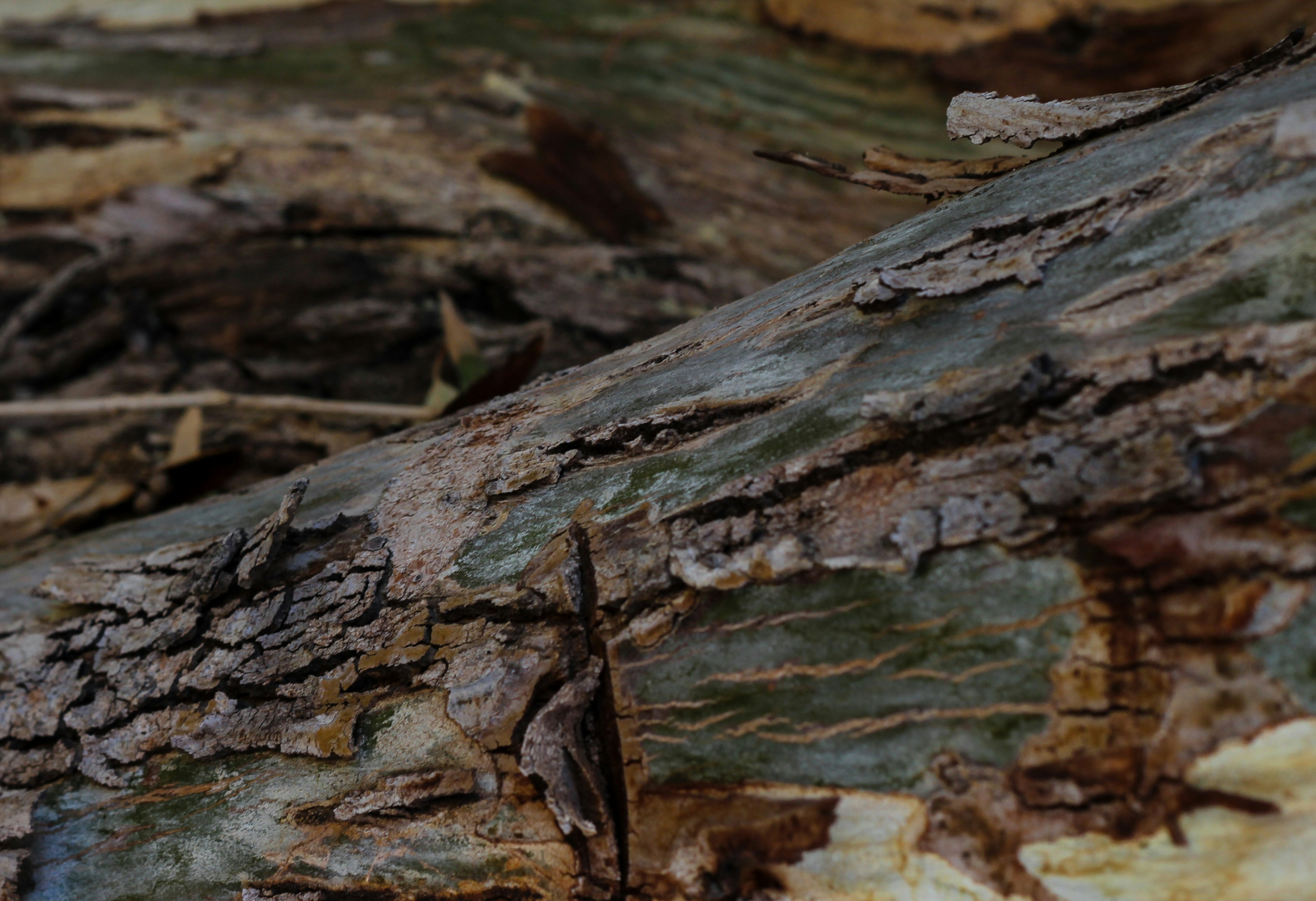 Photo by shamsingaround