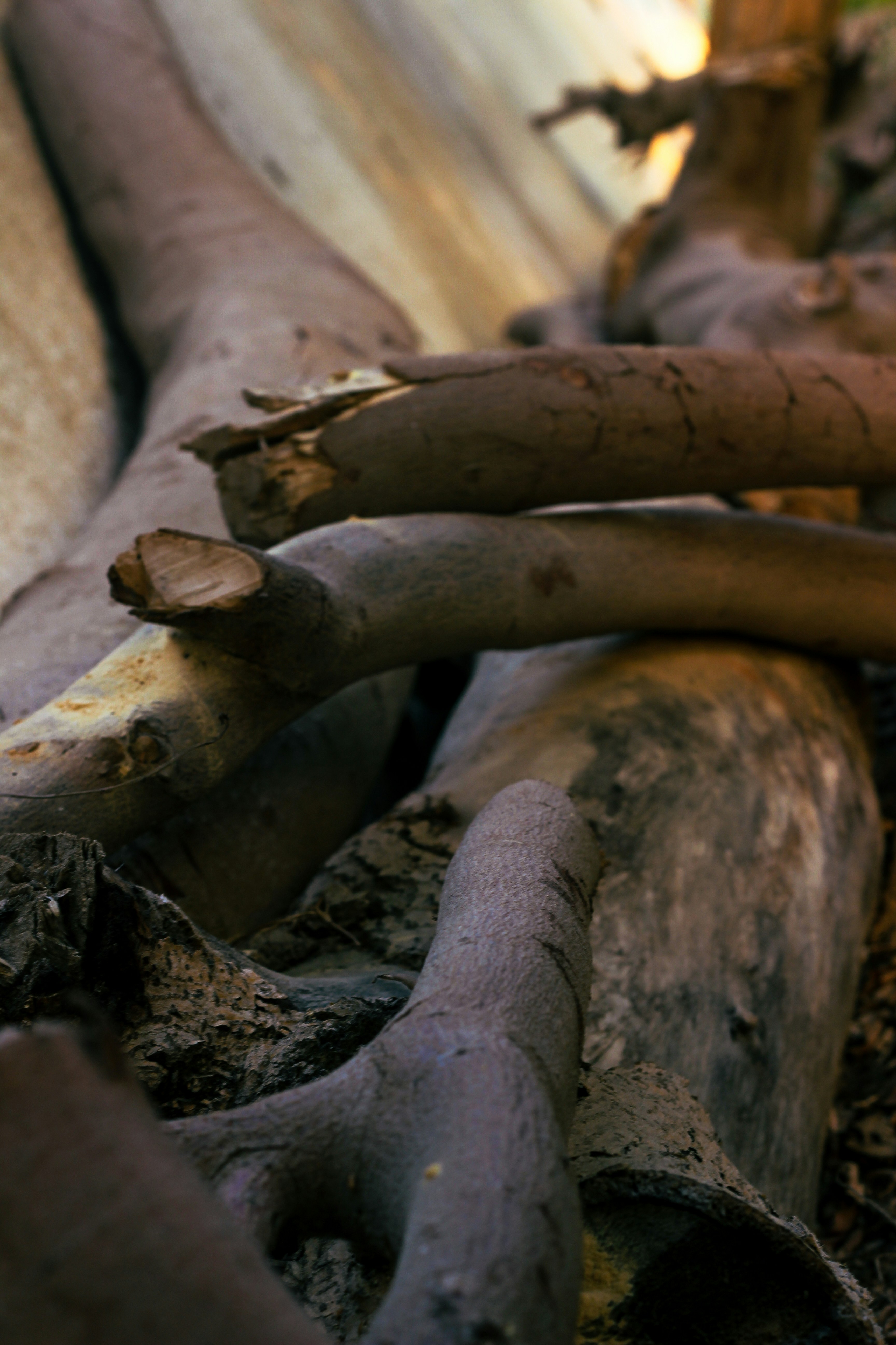 Photo by shamsingaround